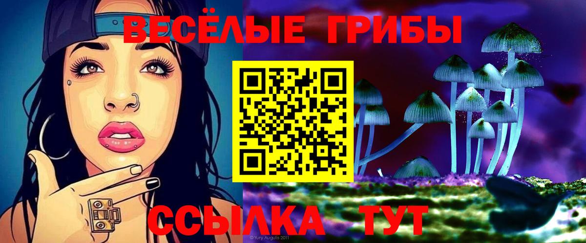 Галлюциногенные грибы Cubensis Учалы